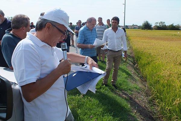Il riso non faccia la fine dello zucchero» (FOTOGALLERY)