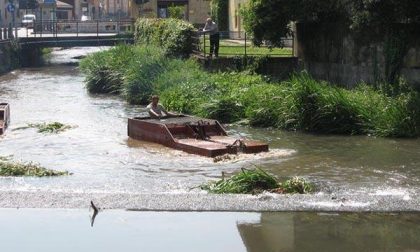 Mezzi speciali per ripulire l’alveo della roggia Cerana