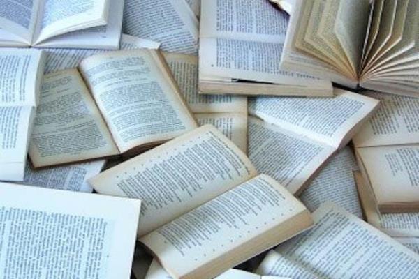 Romagnano Sesia, l’anno della Biblioteca comincia al femminile