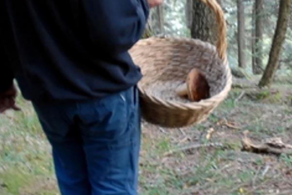 Volo spaventoso, fungiatt muore nel burrone