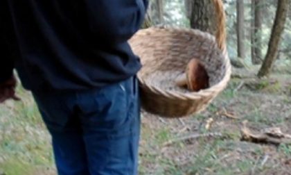 Volo spaventoso, fungiatt muore nel burrone