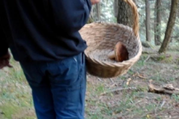 Volo spaventoso, fungiatt muore nel burrone