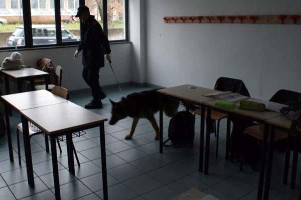 Carabinieri impegnati in controlli antidroga nelle scuole