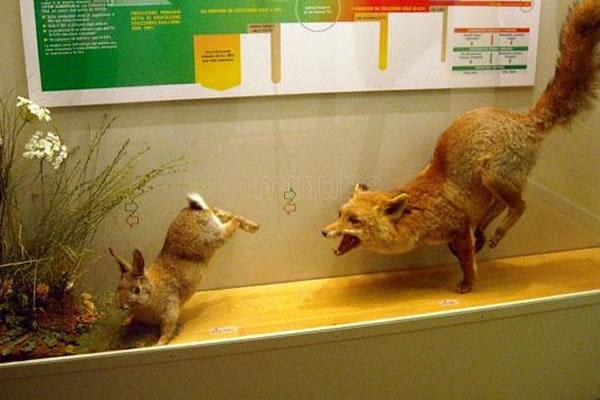 Domenica la Giornata nazionale delle famiglie al Museo