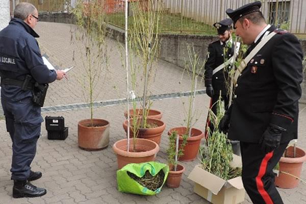 Oleggio: un’intera famiglia in manette per droga