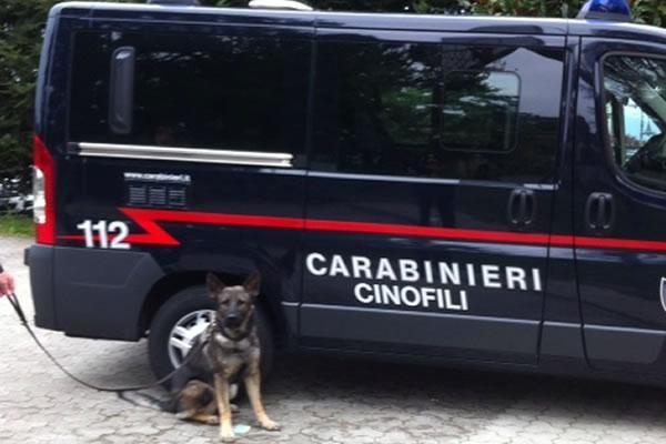 Orta e Armeno: controlli antidroga nelle scuole secondarie