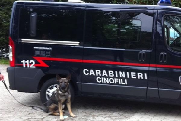 Orta e Armeno: controlli antidroga nelle scuole secondarie