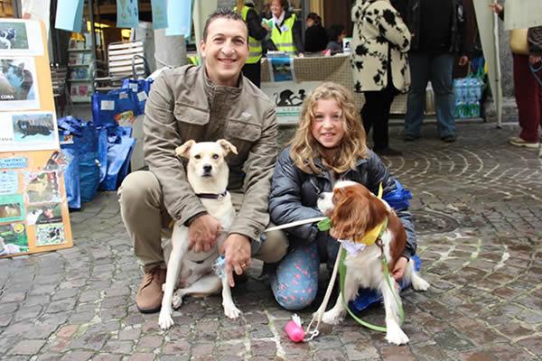 Tanti amici a quattro zampe alla settima Stracanina (fotogallery)