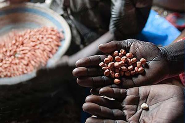 Alla Barriera Albertina “Esprimersi con tutti i mezzi”