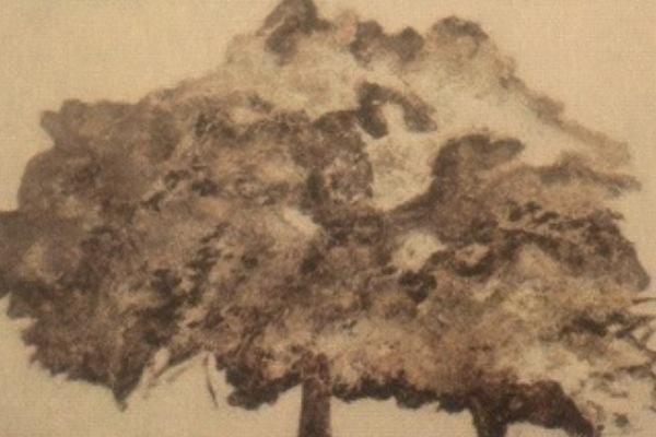 Arte in cantina, il vino della tradizione presentato con una mostra