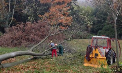 “Cavallini” di Lesa: da oggi il parco sarà di nuovo agibile
