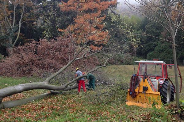 “Cavallini” di Lesa: da oggi il parco sarà di nuovo agibile