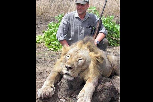 Il veterinario posa accanto al leone ucciso: sdegno sul web
