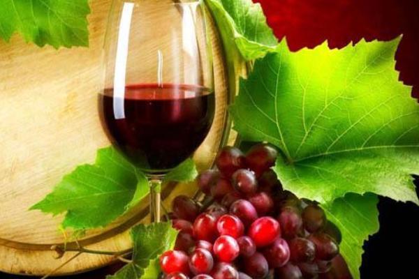 Tre vini dell’Alto Novarese sono “Vinibuoni d’Italia”