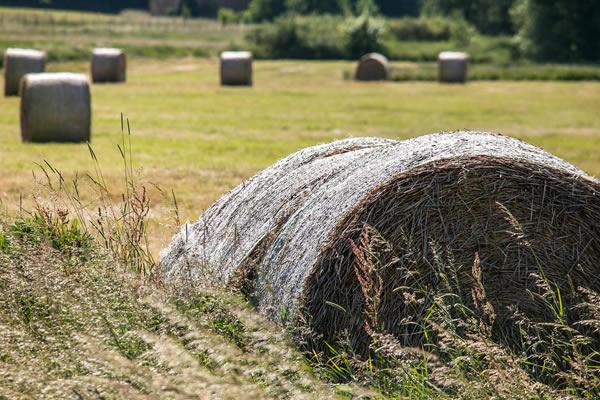 Un miliardo di euro per l’agricoltura