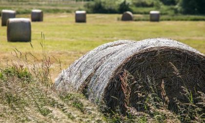 Un miliardo di euro per l’agricoltura