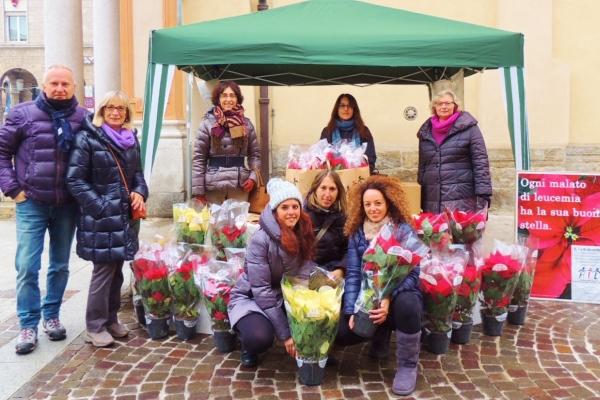 Anche a Borgomanero i fiori solidali dell’Ail