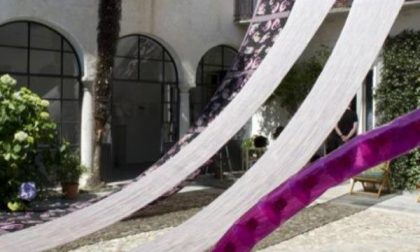 "Da grande farò il curatore"