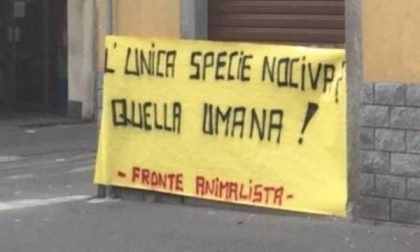 Gli animalisti non demordono, domenica saranno ancora nei boschi