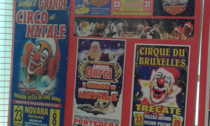 La famiglia al circo, 50 anni di storia