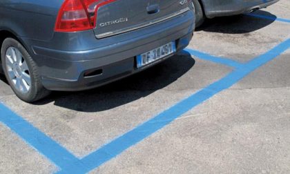 Musa strumento efficace contro lo smog