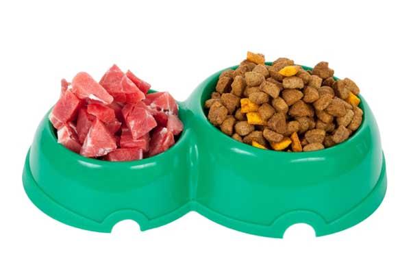 “Serve cibo per cani abbandonati”