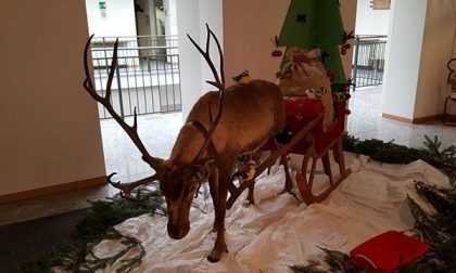 Tanti auguri di Buon Natale a tutti i nostri lettori