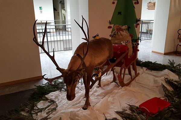 Tanti auguri di Buon Natale a tutti i nostri lettori