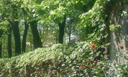 A Romagnano Sesia l’Expo continua con Benvenuta Natura!