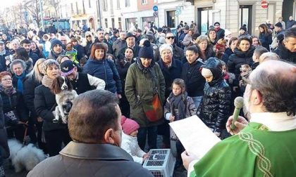 Benedizione degli animali: folla per Sant’Antonio a Galliate (FOTOGALLERY)