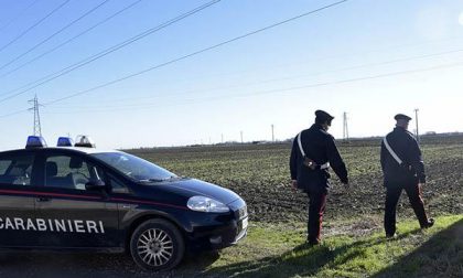 Biandrate: 2 km di cavi di rame rubati dai tralicci