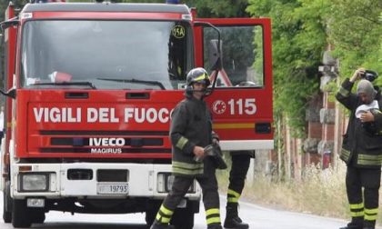 Camion con carico di maiali rovesciato a Biandrate