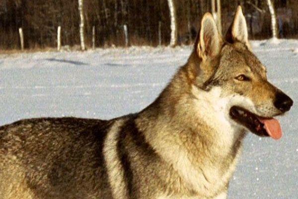 “Credevo di morire”