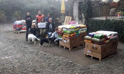 Grazie a chi ha aiutato i randagi