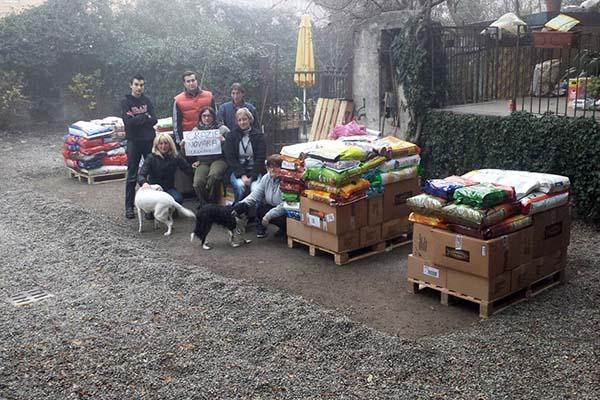 Grazie a chi  ha aiutato i randagi
