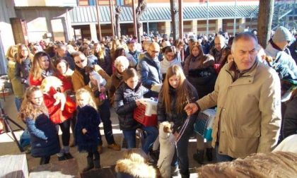 Oratorio gremito per la benedizione degli animali