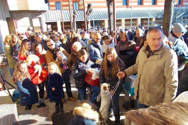 Oratorio gremito per la benedizione degli animali