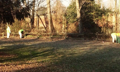Parco Giubertoni: lavori di sistemazione conclusi