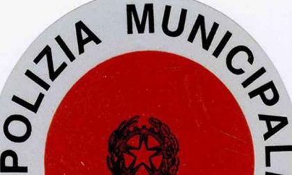 Più di 8 mila violazioni al Codice della Strada in un anno a Borgomanero