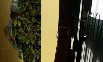Sfondano la porta e rubano i premi della lotteria