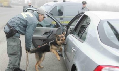 Spaccio di droga: prosegue l’attività di contrasto da parte della Finanza di Borgomanero