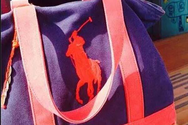 Appello per riavere la borsa scippata