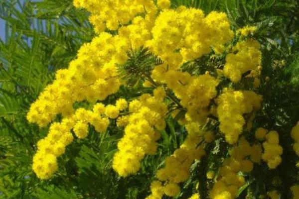 L’importanza di dire no