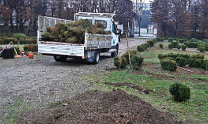 Trecate, prosegue il recupero di Villa Cicogna
