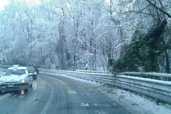 Maltempo: neve, vento e pioggia su tutto il Novarese (fotogallery)