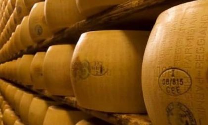 Nascondono sotto gonne e giubbotti 13 confezioni di parmigiano reggiano: in manette