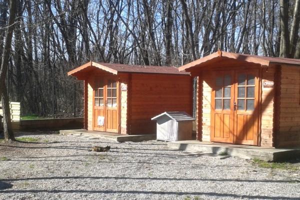 Sarà l’Enpa a gestire il parco gatti di Borgomanero fino al 2023
