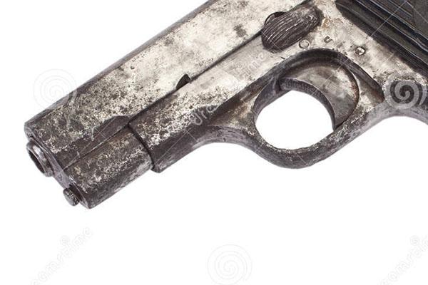 Una pistola arrugginita e con la matricola abrasa emerge dai boschi di Carpignano