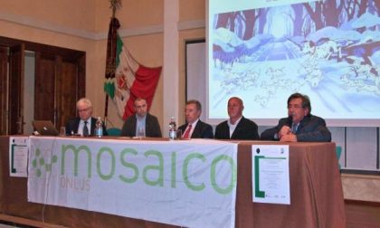 Che il neo sia solo di bellezza...