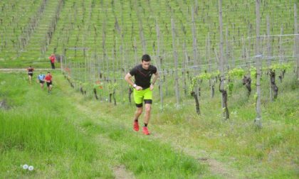 Di corsa tra le vigne (fotogallery)